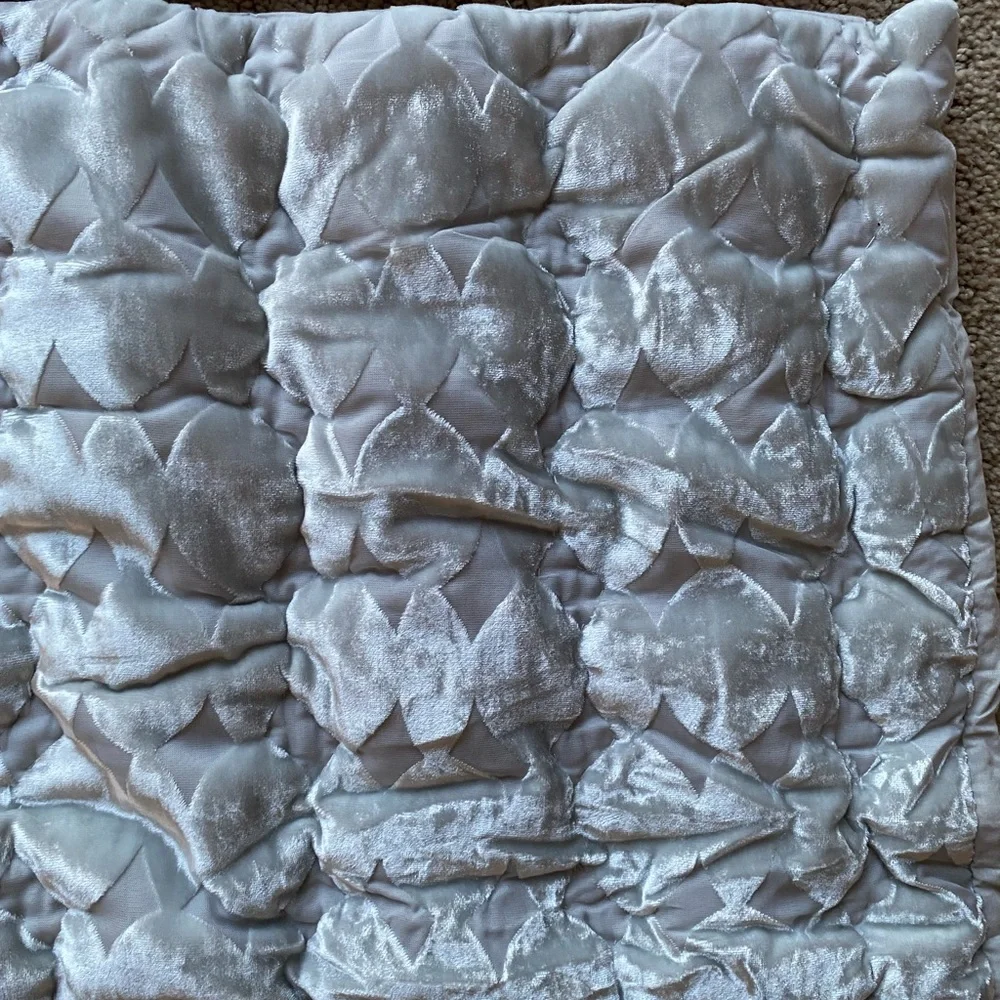 NWT NEW ANTHROPOLOGIE Ellery Velvet set of 2 king shams grey - Picture 10 of 11